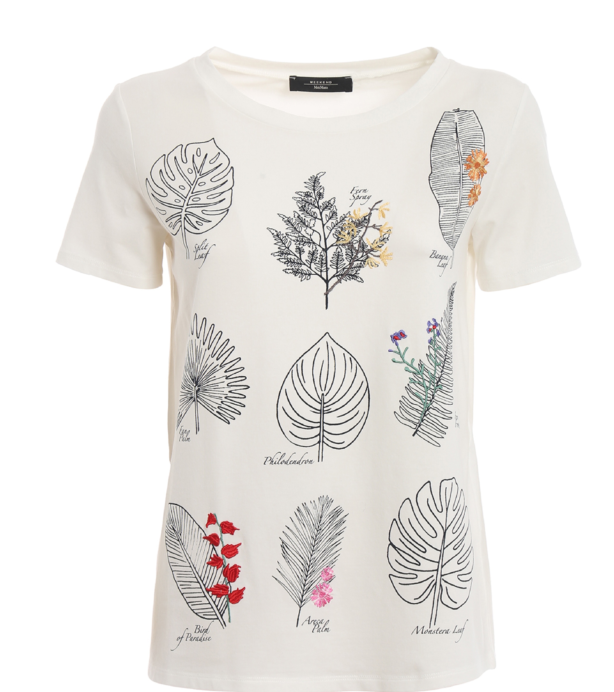 Ladies T-shirt